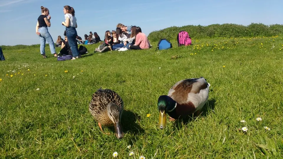 Oxford: River Cruise and Walking Tour to Iffley Village